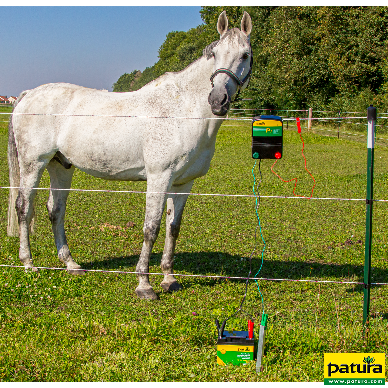 Patura Weidezaun-Kombigerät P2