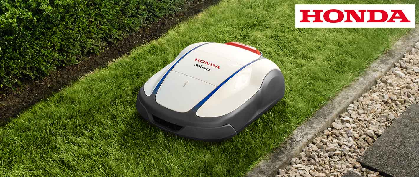 Miimo neu 2024