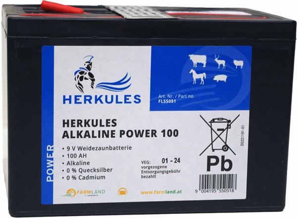Alkaline_Power_100.jpg